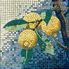 Mozaika - citrony 204004  20 x 20 cm