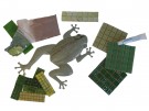 Mozaikový set - žába 32 cm (obsah balení)