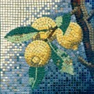  - Mozaika - citrony 204004  20 x 20 cm