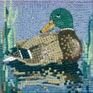  - Mozaika - kachna ll. 204019  20 x 20 cm
