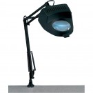 Toolcraft - Stolní lupa s osvětlením Toolcraft, 60 W, 4D